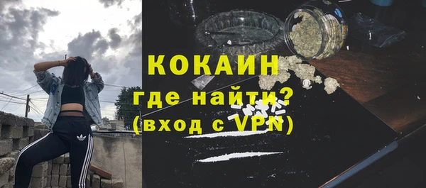 индика Бугульма