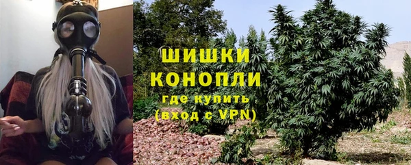 индика Бугульма