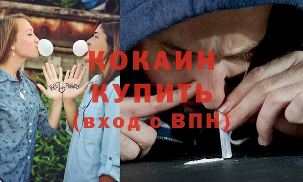 индика Бугульма