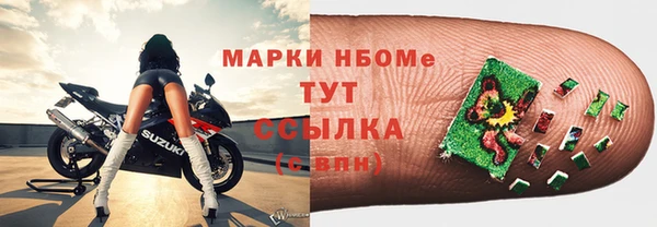 индика Бугульма